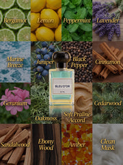 Bleu De Or — Fresh Woody Extrait